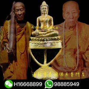 龍婆堪布 2556年 「拍齊郁砌」供奉型