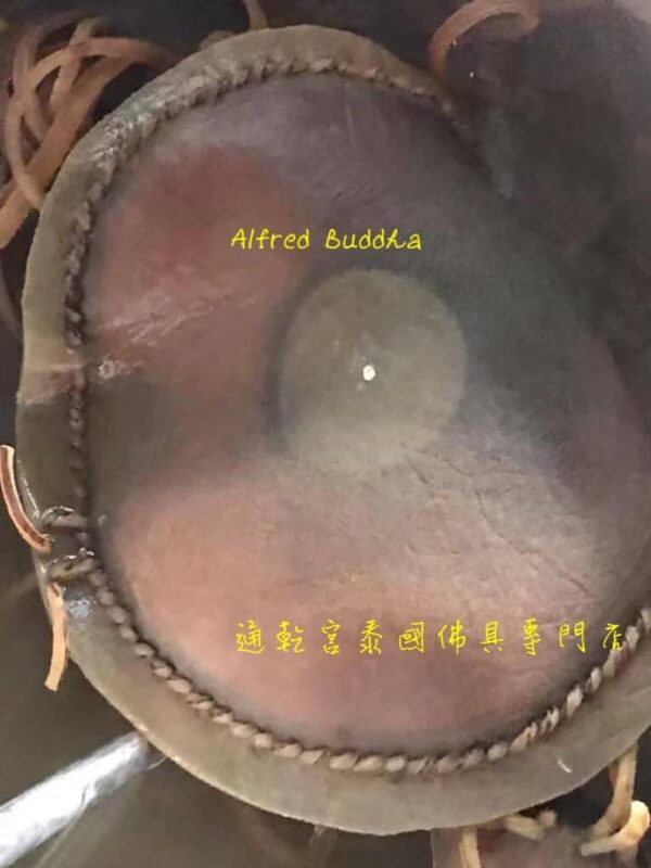 龍婆迪  勝鼓符珠：圖片 4