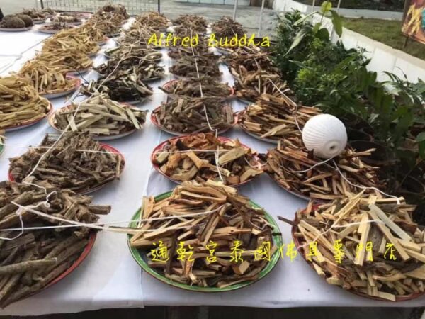 龍婆迪  勝鼓符珠：圖片 6