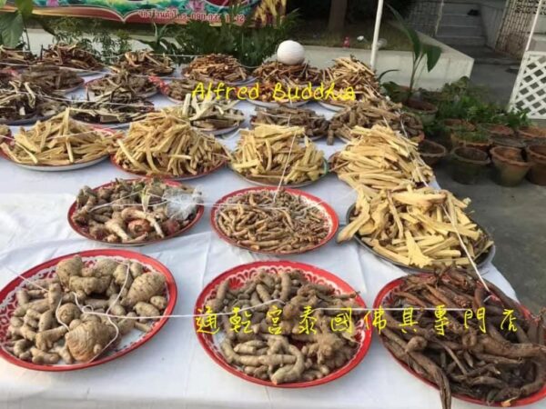 龍婆迪  勝鼓符珠：圖片 5