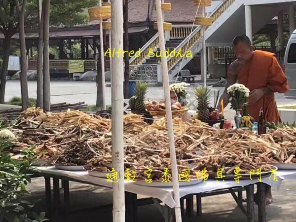 龍婆迪  勝鼓符珠：圖片 7