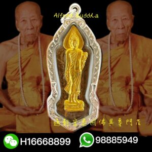 貓胎聖僧 龍婆堪布 2550年 一期 行走佛（特別版）