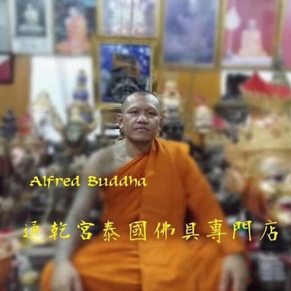 龍婆迪 2551年 第一期 虎頭魯士 ：圖片 4