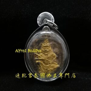 龍婆迪 2551年 第一期 虎頭魯士 