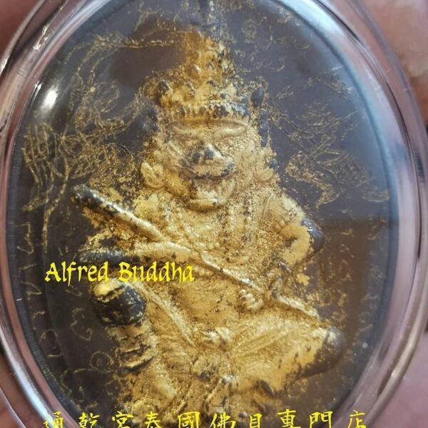 龍婆迪 2551年 第一期 虎頭魯士 ：圖片 2