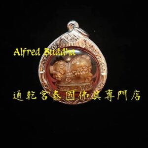 活財神 龍婆冠 2540年 招財豬