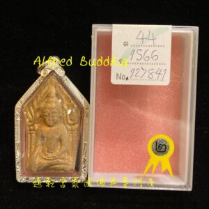 貓胎聖僧 龍婆堪布 2550年 二期 金面 坤平