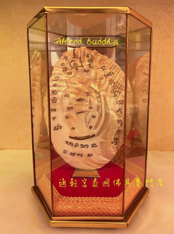 龍婆艮能 早期 靈猴 招財 貝殼：圖片 3