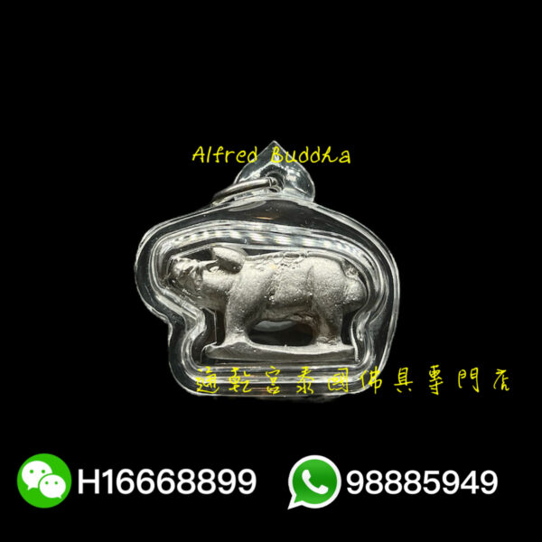 龍婆艮力 招財好命豬