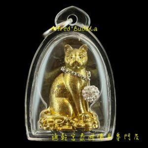 龍婆堪布 2554年 招財靈貓