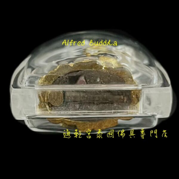 龍婆堪布 2554年 招財靈貓：圖片 3