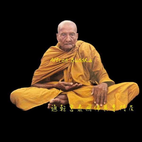 龍婆彭 2553年 一期 帕猜 藥師佛 （小模）：圖片 13