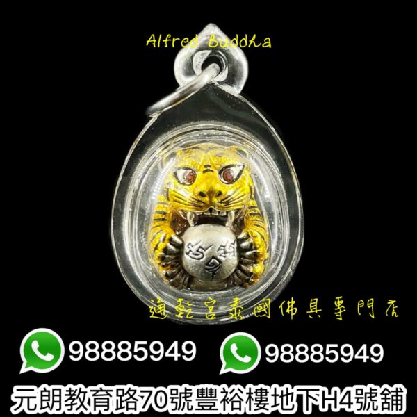 屈班帕（老虎廟）2558年 老虎抱糖：圖片 2