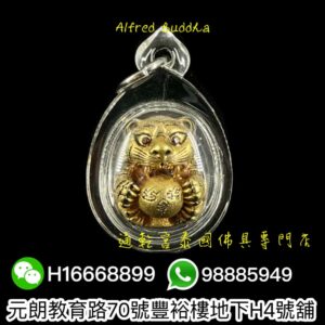 屈班帕（老虎廟）2558年 老虎抱糖