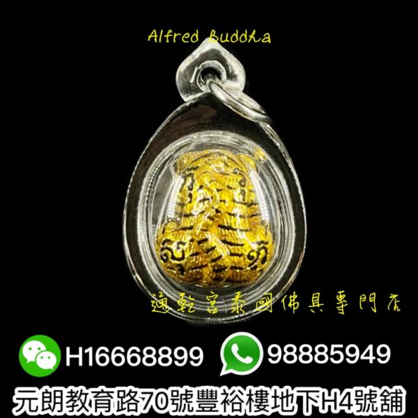 屈班帕（老虎廟）2558年 老虎抱糖：圖片 4