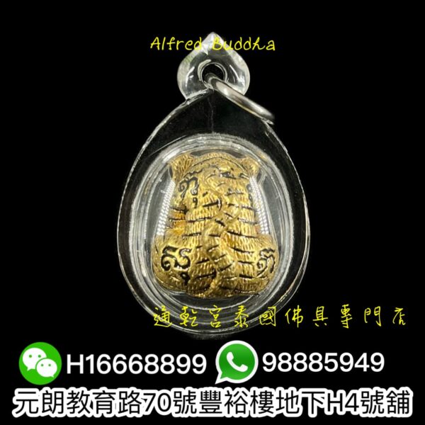 屈班帕（老虎廟）2558年 老虎抱糖：圖片 6