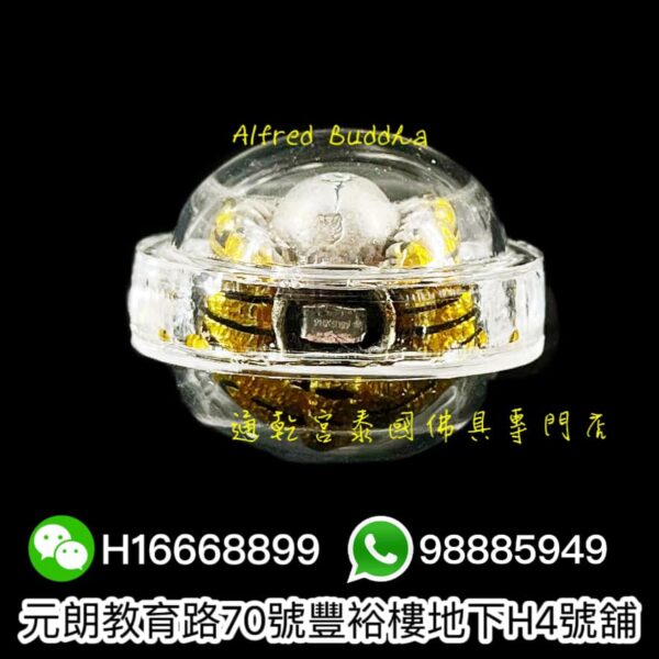 屈班帕（老虎廟）2558年 老虎抱糖：圖片 3