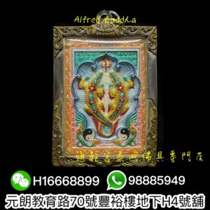 蝴蝶王 古巴傑士納 2547年 早期 招財 雙鱷魚 (珍寶模)