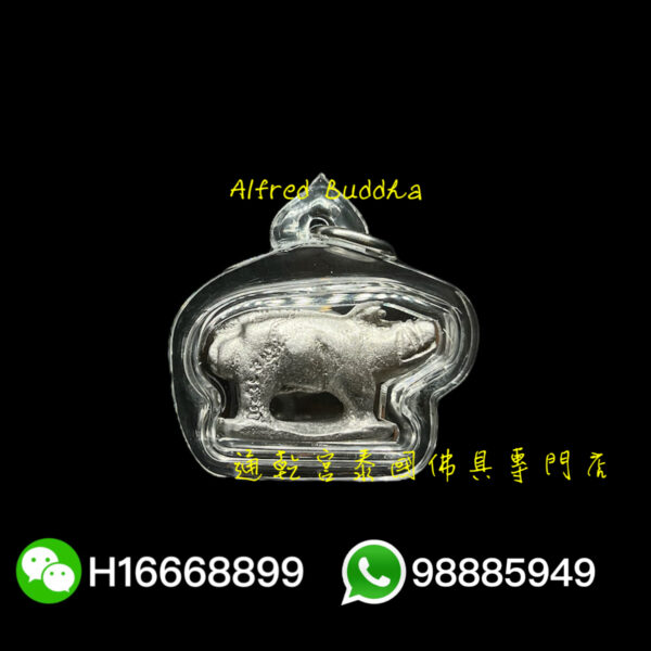 龍婆艮力 招財好命豬：圖片 2