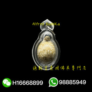 龍婆艮力 擋險財龜