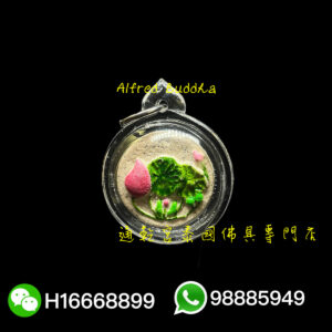 龍婆艮力 『播崩拜』荷花