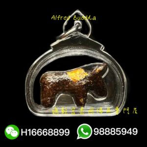 龍婆拔術 2563年 二期 擋降牛